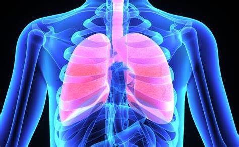 ¿Por qué fumar produce cáncer de pulmón?
