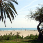 La Playa del Serradal